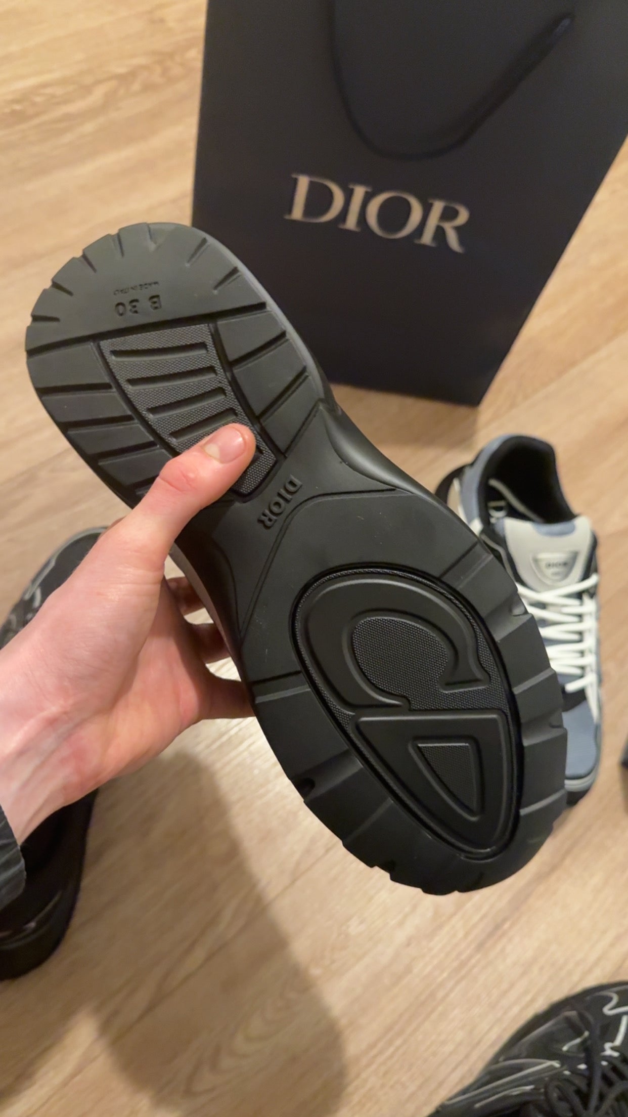 Dior B30 Countdown Sneaker